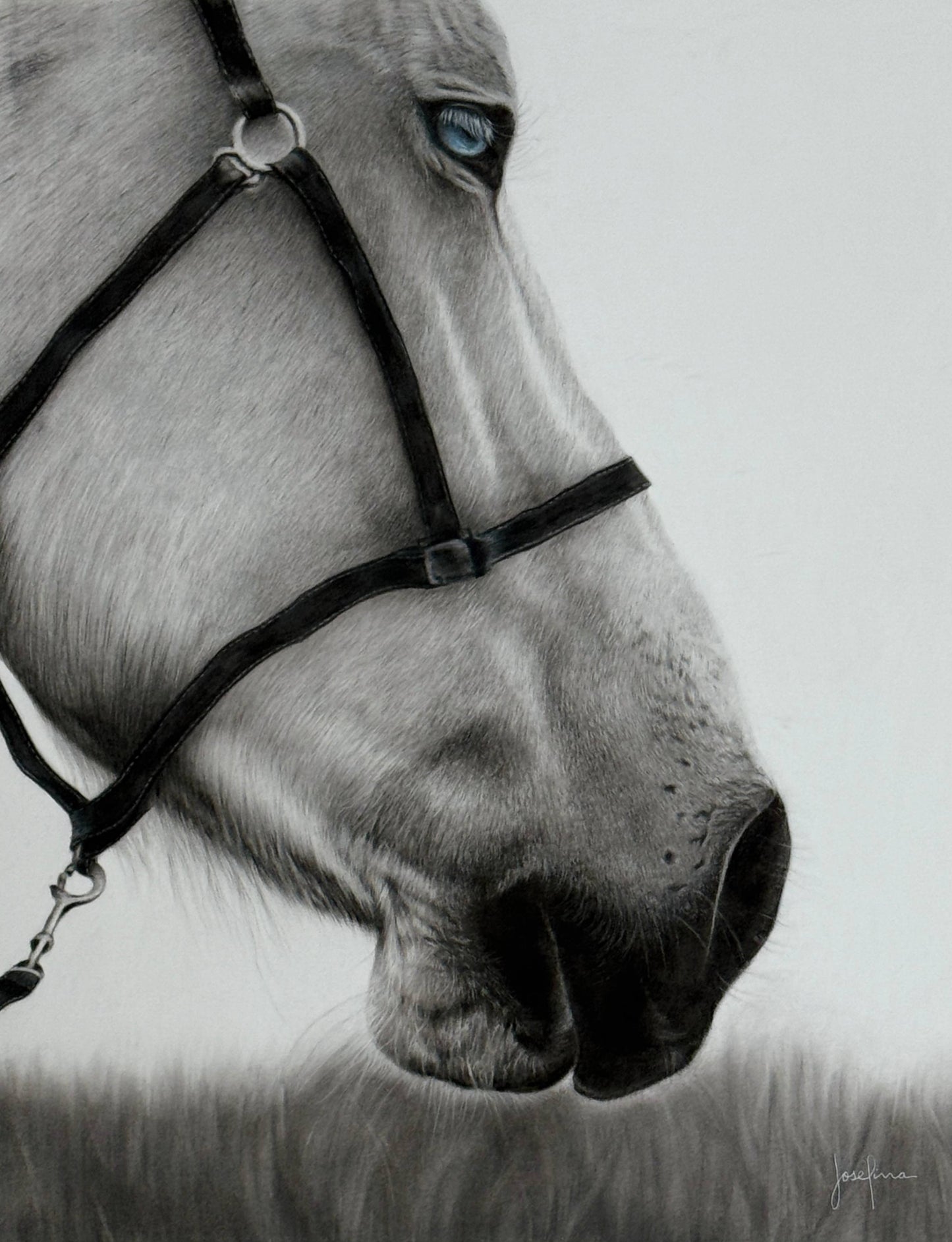 "CABALLO" réplica